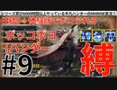 9モンハンライズサンブレイク実況任務#9体験版でボコられる【シリーズ累計6000時間以上やっている平凡ハンターのMHRISEサンブレイク実況！】