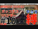 10モンハンライズサンブレイク実況任務#10体験版でボコられる2【シリーズ累計6000時間以上やっている平凡ハンターのMHRISEサンブレイク実況！】