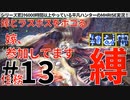 13モンハンライズ実況任務#13嫁とラスボスをボコる【シリーズ累計6000時間以上やっている平凡ハンターのMHRISE実況！】