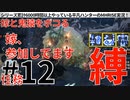 12モンハンライズ実況任務#12嫁と鬼猿をボコる【シリーズ累計6000時間以上やっている平凡ハンターのMHRISE実況！】