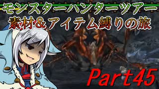 【ゆっくりモンハン】モンスターハンターツアー素材＆アイテム縛りの旅　part45【MHP2G】