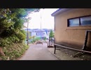 千葉県我孫子市寿-緑を歩く 【2年ぶり千葉県我孫子市編part 5】【散歩199】