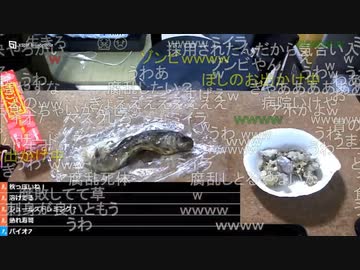 #七原くん 20221023「秋の収穫大感謝祭　2022　栗　銀杏　ニジマス」1/8 米有HD版(携帯代振込へ⇒銀杏拾い⇒買い出し⇒2年熟成ニジマスご飯,栗ハンバーグ⇒行水)