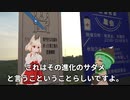 オッパイと進化