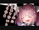 【ソフトウェアトーク劇場】ガンルームトーク五号六型【琴葉葵・東北きりたん】