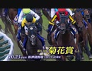【中央競馬】プロ馬券師よっさんの第83回 菊花賞（GⅠ）