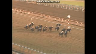 競馬：ヤマニンゼファー「1993年第108回天皇賞・秋」パネル2枚＋