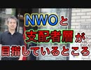 NWOと支配者層が目指しているところ #内海聡 #うつみん 【世界一嫌われ医者】