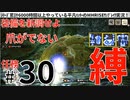 30モンハンライズサンブレイク実況任務#30装備を新調せよ【シリーズ累計6000時間以上やっている平凡ハンターのMHRISEサンブレイク実況！】