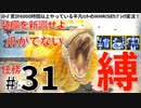 31モンハンライズサンブレイク実況任務#31装備を新調せよ【シリーズ累計6000時間以上やっている平凡ハンターのMHRISEサンブレイク実況！】