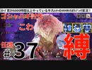 37モンハンライズサンブレイク実況任務#37ゴシャハギ討伐【シリーズ累計6000時間以上やっている平凡ハンターのMHRISEサンブレイク実況！】
