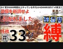 33モンハンライズサンブレイク実況任務#33装備を新調せよ【シリーズ累計6000時間以上やっている平凡ハンターのMHRISEサンブレイク実況！】
