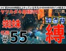 55モンハンライズサンブレイク実況任務#55ヤツカダキ亜種討伐【シリーズ累計6000時間以上やっている平凡ハンターのMHRISEサンブレイク実況！】