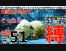 51モンハンライズサンブレイク実況任務#51大獣玉を求めて【シリーズ累計6000時間以上やっている平凡ハンターのMHRISEサンブレイク実況！】