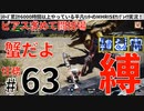 63モンハンライズサンブレイク実況任務#63ピアス求めて闘技場【シリーズ累計6000時間以上やっている平凡ハンターのMHRISEサンブレイク実況！】
