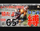65モンハンライズサンブレイク実況任務#65ピアス求めて闘技場【シリーズ累計6000時間以上やっている平凡ハンターのMHRISEサンブレイク実況！】