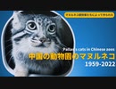 中国の動物園のマヌルネコ 1959-2022 | Pallas's cats in Chinese zoos