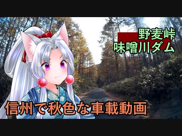 【VOICEROID車載】信州で秋色な車載動画を撮りたくて標高をあげていく東北イタコと四国めたん【VOICEVOX車載】