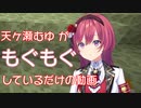 天ヶ瀬むゆがもぐもぐしているだけの動画【にじさんじ切り抜き/天ヶ瀬むゆ/先斗寧/海妹四葉】