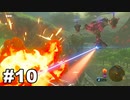 【ゆっくり実況】ゼルダの伝説BotW 4縛り#10