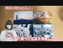 【写真の話】カメラで撮った写真をコンビニで現像してきた