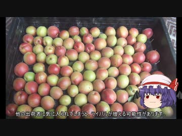 ゆっくり農民197梅を育ててみませんか？♯５