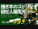 ストームヴィル城の大きな霧に足を踏み入れたり手が沢山ある強敵と戯れたりします【初見】エルデンリング実況／盗賊王物語【オフライン】#35