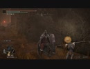 【ELDEN RING】発売日からトロコンするまで【実況】 part181