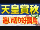 【天皇賞秋2022予想】追い切り・調教が高評価だった3頭