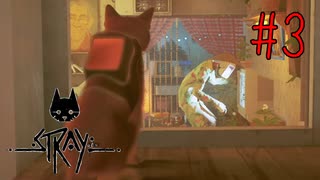 自分だけが仲間だと思い込んでただけのロボットなのでは？【Stray】#3