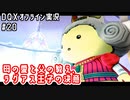 母の愛と父の教え、ラグアス王子の決意｜DQXオフライン実況#20