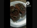 チョコケーキにいそ松葉いけるチョコだけにほんのちょこっとでいい