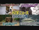 【科学ニュース】マグロはサメに体や顔を擦り付けて痒みをとる／ヨーロッパのチンパンジービタミンⅮ不足が深刻化／北アメリカで黒いオオカミが多い理由が判明／ピットブルは危険な犬種なのか？【ゆっくり解説】