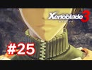 【実況】黒野のゼノブレイド3 #25