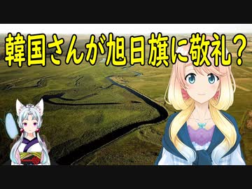 【韓国の反応】韓国が日本海上自衛隊の観艦式に参加する事が決定し、旭日旗に向けて敬礼をする事に？【世界の〇〇にゅーす】