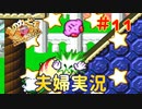 【夫婦実況】プラズマの被ダメが可愛い【星のカービィSDX】＃１１