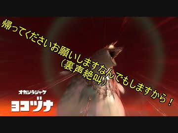 【Splatoon3】シャケとイクラと松嘩りすく再々【COEIROINK：松嘩りすく実況】