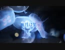 海月は笑った / feat.初音ミク