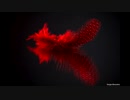 【NNIオリジナル】Red Feather (Instrumental)