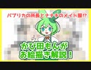 【ナナチ】かび田もんがお絵描き解説【パプリカ所長】