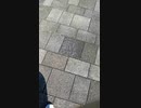加速　中 20221028_HYR_じょにぃ　。音は、大きめで、聴いて下さい。
