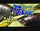 【ゆっくりバス釣り】イケカツチャレンジ！#36 広島県芦田川調査隊(後編)