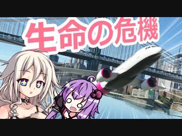 400mの滑走路から離陸するIAちゃん航空【MSFS】
