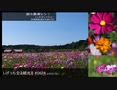 しげっち交通観光局#0024 トリシティ155で行く「都市農業センター@鹿児島県鹿児島市」/2022.10.21