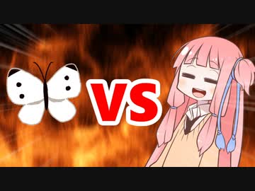 茜ちゃんVSちょうちょ