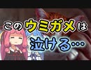 意味が分かると切ない…泣ける【ウミガメのスープ】