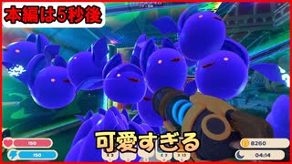 初めて出会う新種のスライム達が可愛すぎてたまらない…ノコリビ谷を冒険＆攻略していきます！前作600万本も売れたスライムランチャー２【Slime Rancher 2】Part7