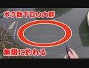 数千匹のボラの群れに鯉用の吸い込みを投げてみたら・・・