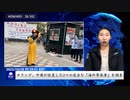 オランダ、中国が設置した2つの違法な「海外警察署」を調査