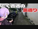 東湖にある住宅街のごく普通の裏通りをボロボロ日本語で探訪する【VOICEROID 結月ゆかり】